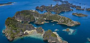 Dive Misool Raja Ampat