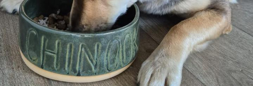 dog bowl