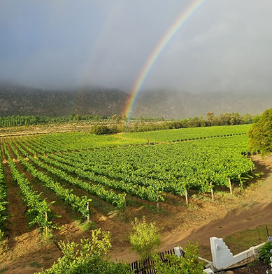 rainbow