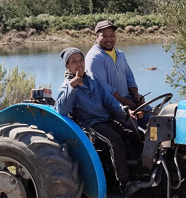 tractor