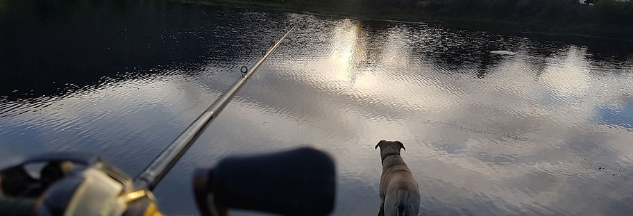 fishing with a dog