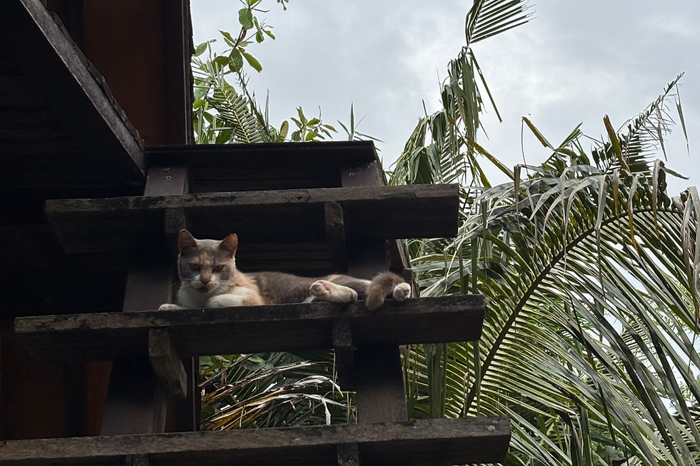 Neuanfang heißt nicht Überforderung sondern Entwicklung