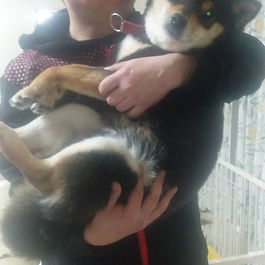 今年で、3歳になりますが、いつまでも甘えたで抱っこさせてくれます!