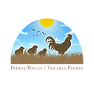 Peewee Poultry Logo transparent background.png