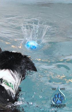 breeze+ball+2.jpg