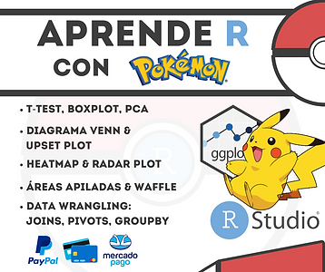 R Intermedio Portada Cuadrada .png