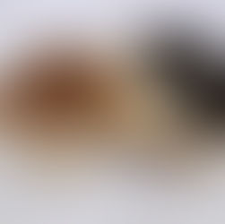 Tent.arte: Del sabor casero a un éxito emergente