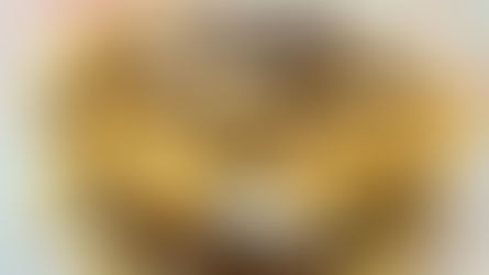 Waffle Club: Un viaje culinario de emprendimiento familiar