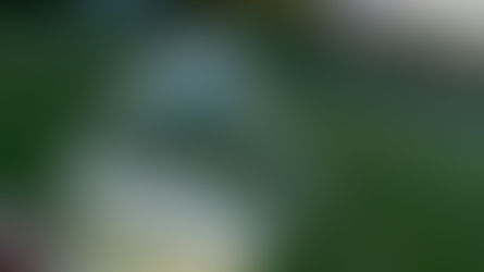 Revitalizando el mercado vinícola: La trayectoria de Patagonia & Wines