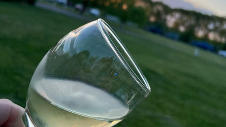 Revitalizando el mercado vinícola: La trayectoria de Patagonia & Wines