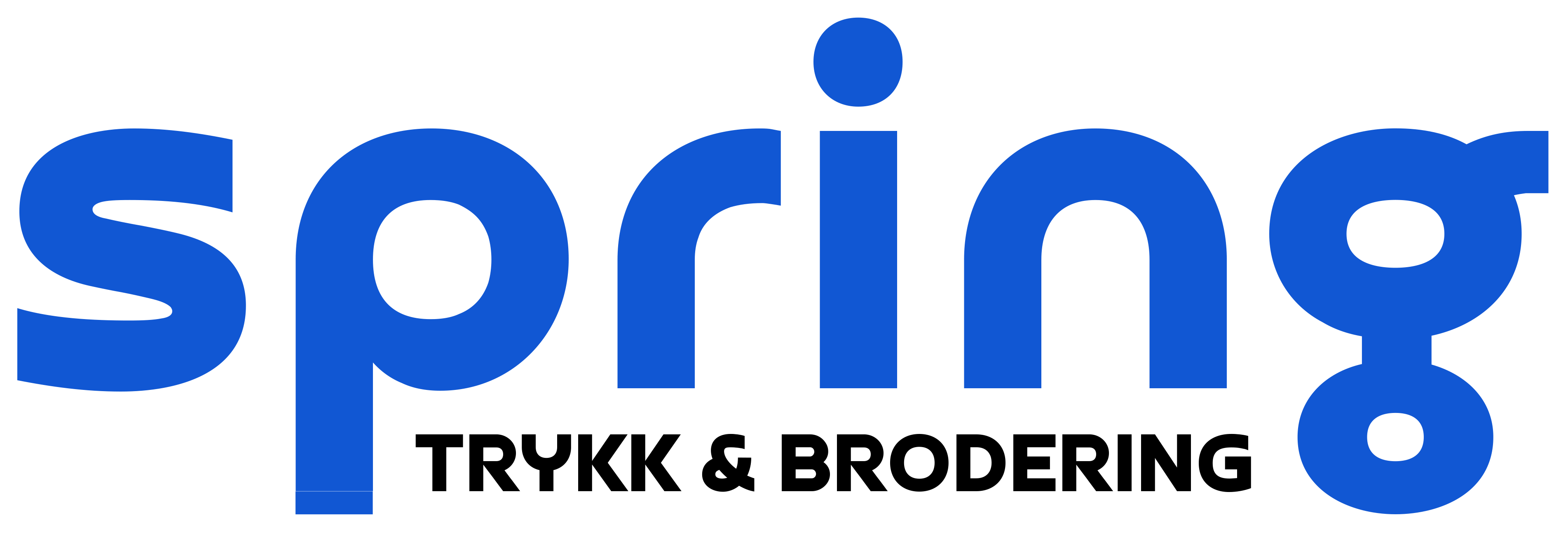 SPRING-TB-blå.png