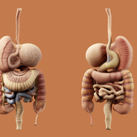 Hoe je microbioom je brein beïnvloedt: wat een nieuwe studie ons leert over obesitas, us hersenfunctie en gezondheid