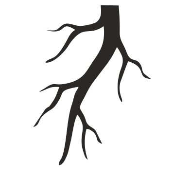 RAIZ Canelli Logo_edited.png