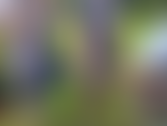 How many moth species are there are in UK? Is it: (a) 130 (b) 259 or (c) 2500? (d) 4580? (There are 59 butterfly species). Answer at the end.