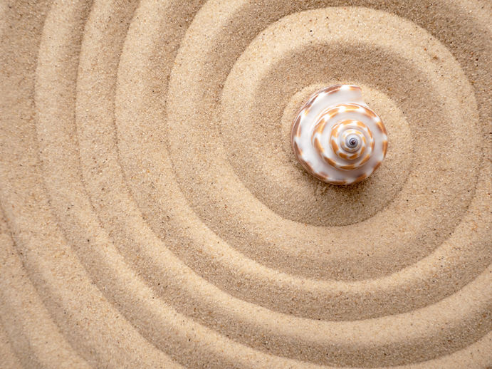 Shell in circles on the sand. Zen concept. Spiral in the sand.jpg