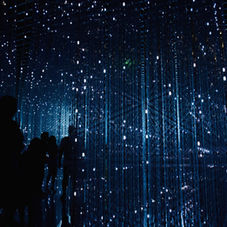 Young culture will accept the   Metaverse first 