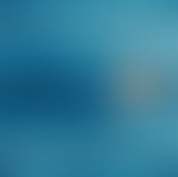 Rapid Fire Progress Despite Inflation 