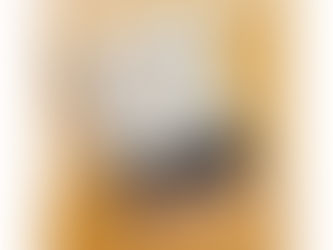 Fried Green Tomatoes at the Whistle Stop Cafe - Fannie Flagg