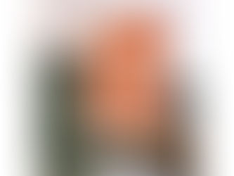 The Garden of Evening Mists - Tan Twan Eng