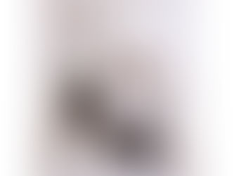 The Home for Unwanted Girls - Joanna Goodman