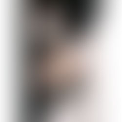 The Seven Deaths of Evelyn Hardcastle - Stuart Turton