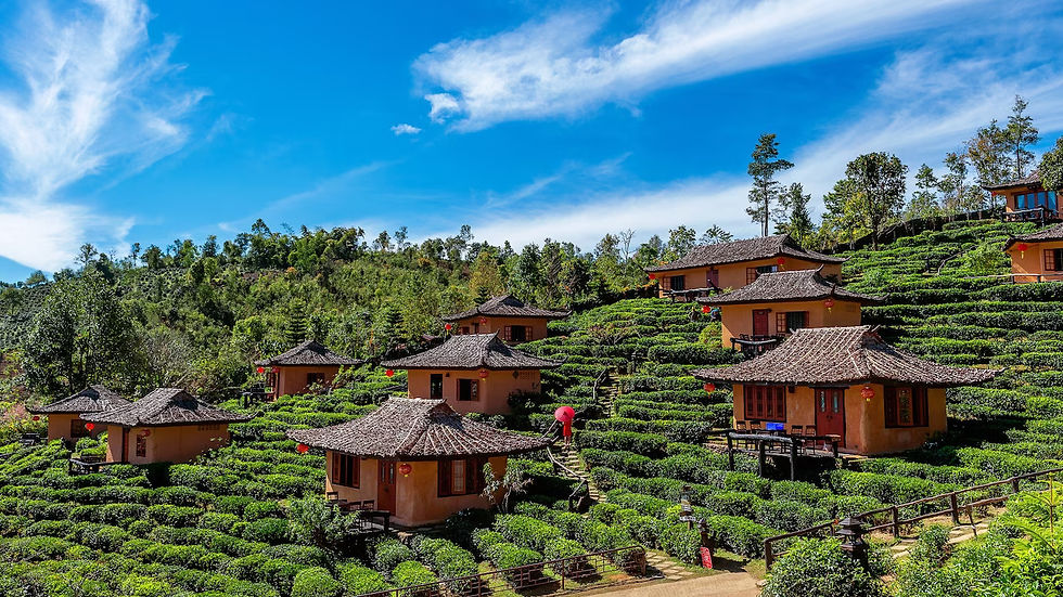 Book Kerala tour packages