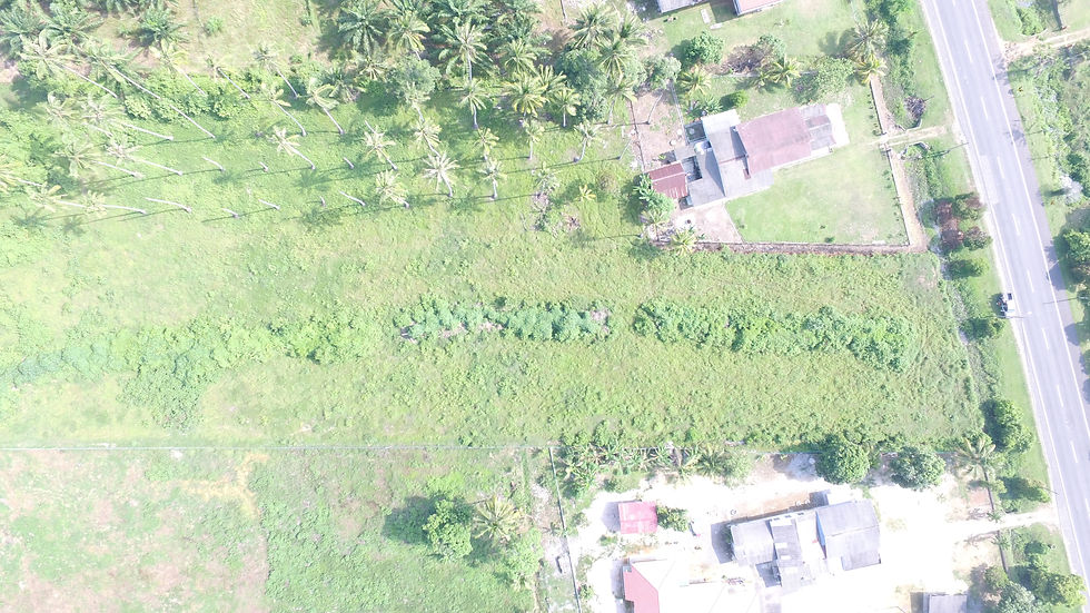 Site Top View @ 2017