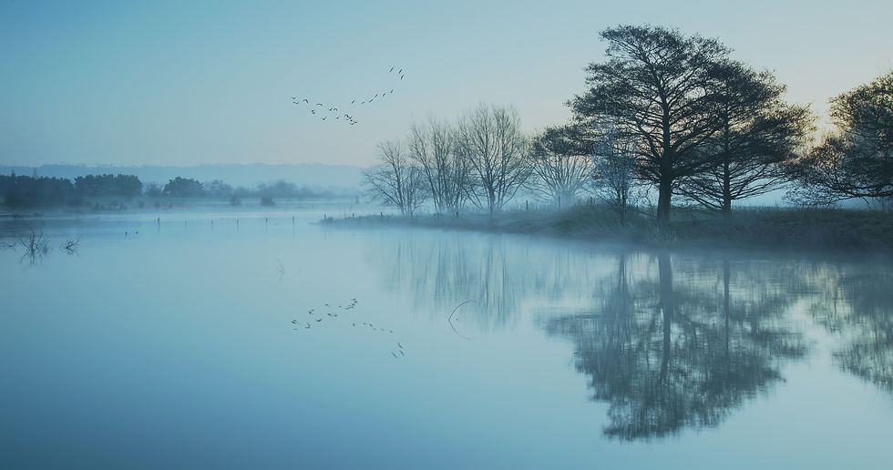 shutterstock_181407653-BLUE.jpg