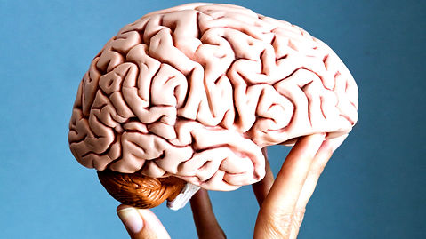 cerebromamd.jpg