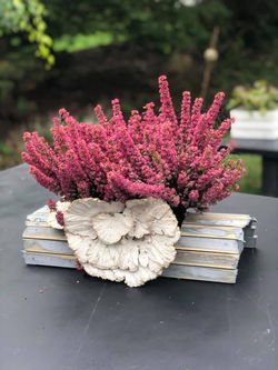 119005740_3441373039253748_7602127173635