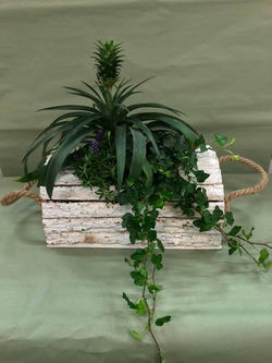 94602911_3072125692845153_60852906806644