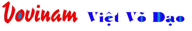 Vovinam Viet Vo Dao