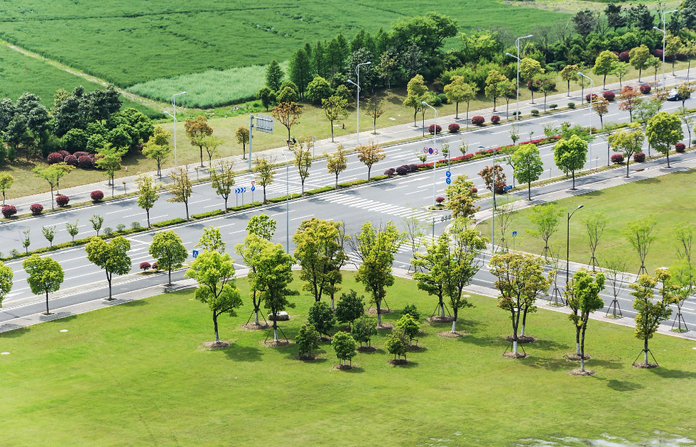 Commercial Land for Sale in Dholera