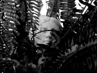DSC_6499.jpeg
