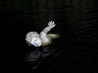 Inverted Dream