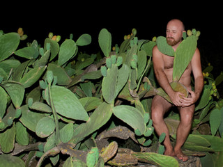 Constantine And A Cactus Tree.jpeg