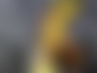 Strength Redefined: Olivia’s Journey from Stylist to Bodybuilder