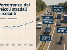 Le percorrenze dei veicoli stradali circolanti - Anno 2021