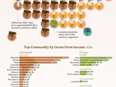 Mapped: The Top Agricultural Commodity in Every U.S. State