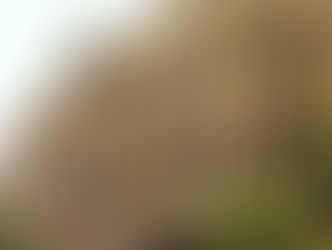 Entrate: Mef, in crescita di 54 miliardi (+10,4%)