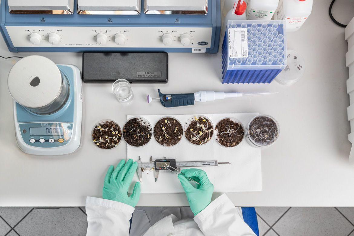 Attività di ricerca scientifica in laboratorio