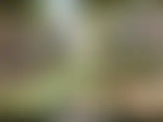 Quando è possibile sciogliere un condominio?