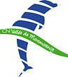 logo-CNV.jpg