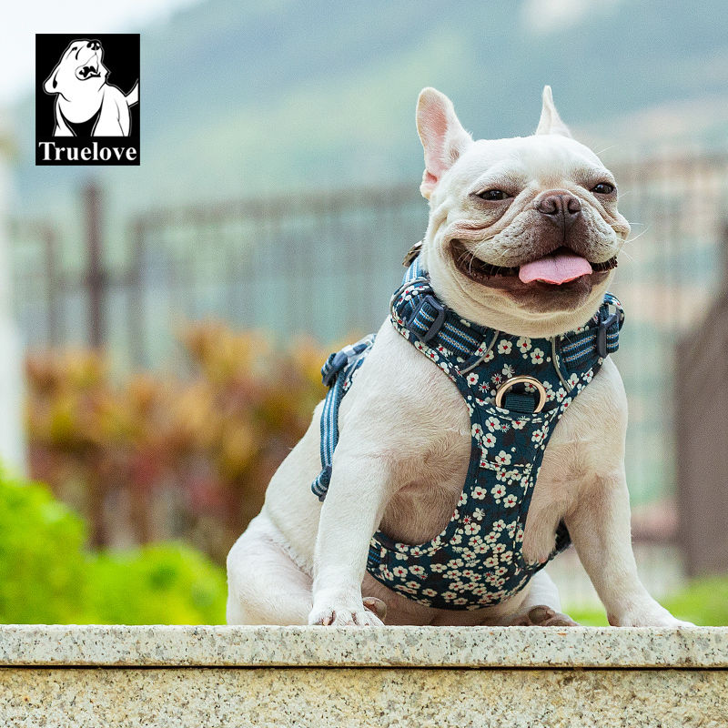Thumbnail: Truelove™ | Floral No-Pull Ergonomic Dog Harness