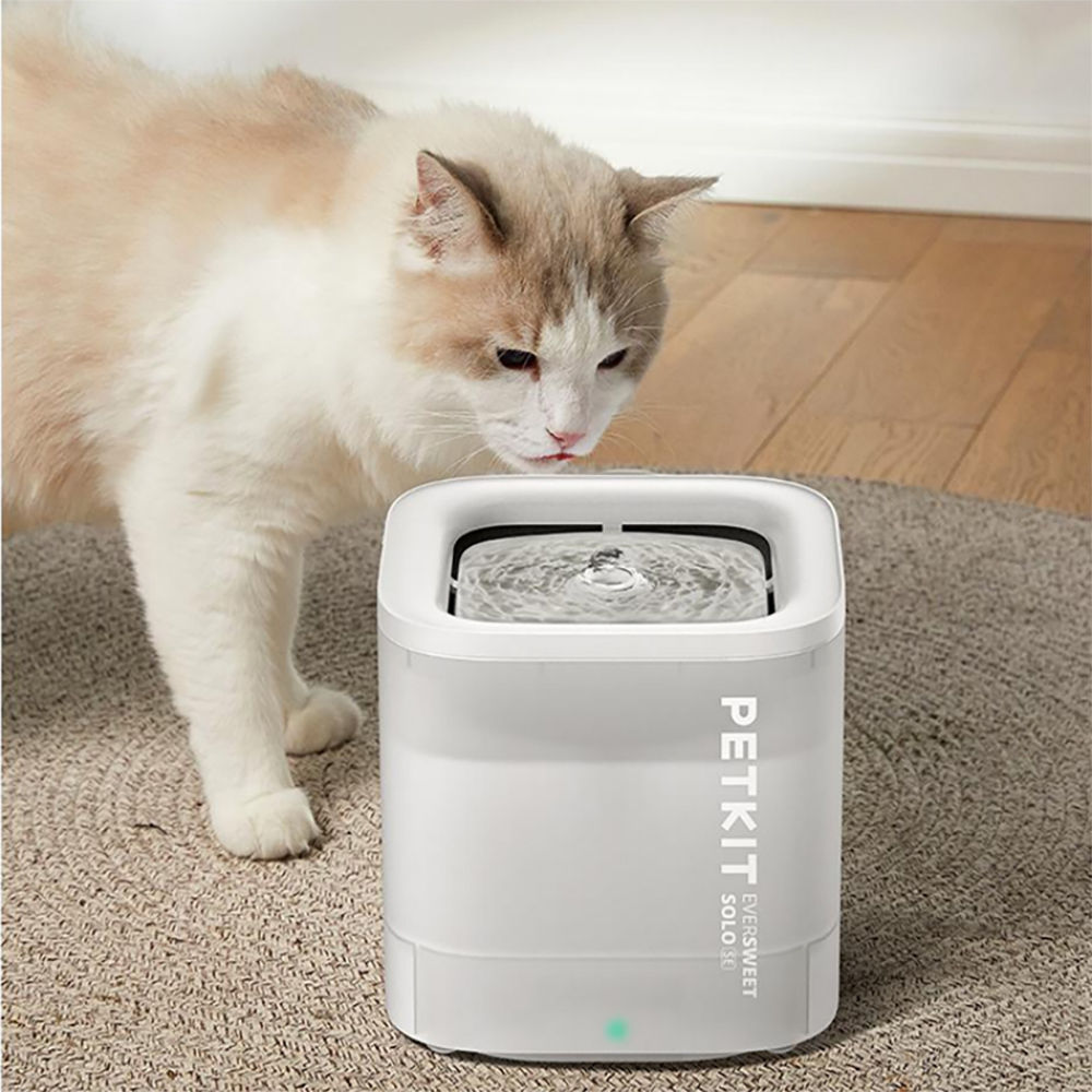 PETKIT® Eversweet Solo SE | Wireless-Pump Smart Hydration Node