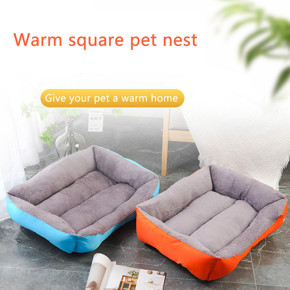 Thumbnail: Structural Elastic Sofa | High-Performance Moisture-Barrier Sanctuary