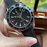 WOG218H