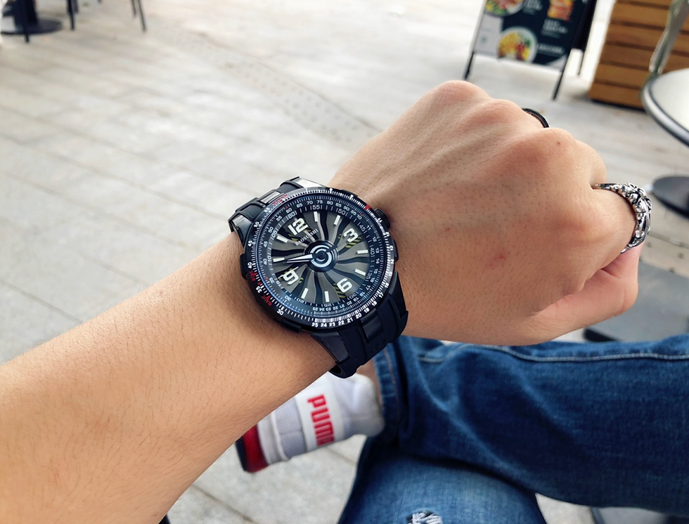 WPR01a ( Pilot )