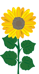 GIRASOL.png