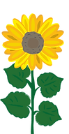 GIRASOL.png